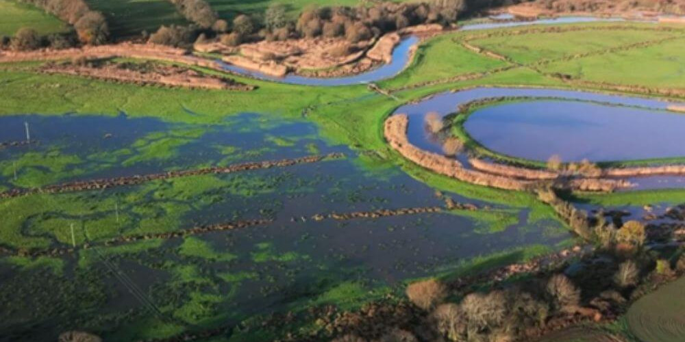 WE’RE ON BBC COUNTRYFILE…